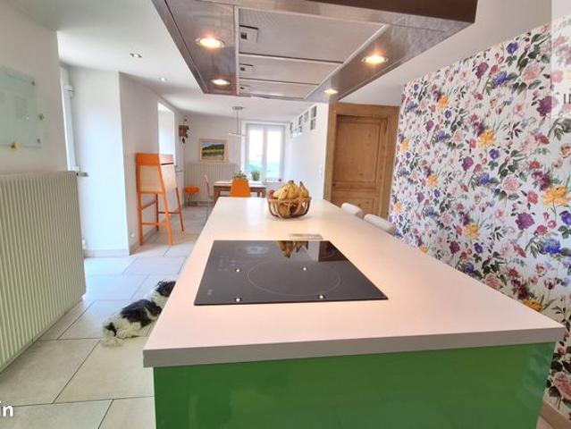 Maison 9 pièces 253 m²