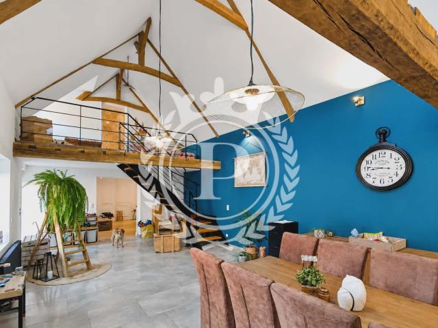 Maison 9 pièces 265 m²