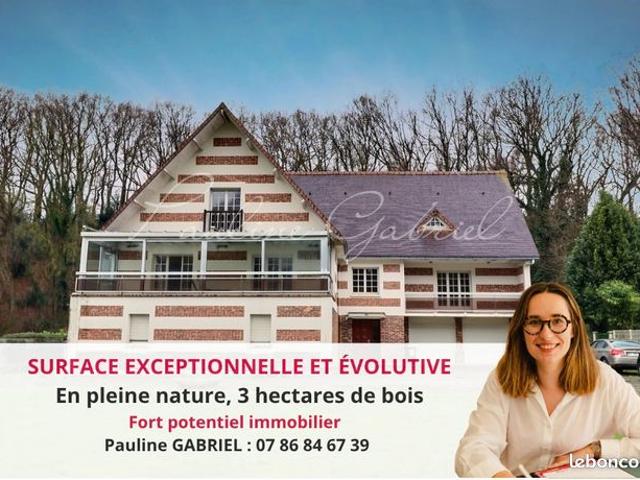 Maison 9 pièces 265 m²