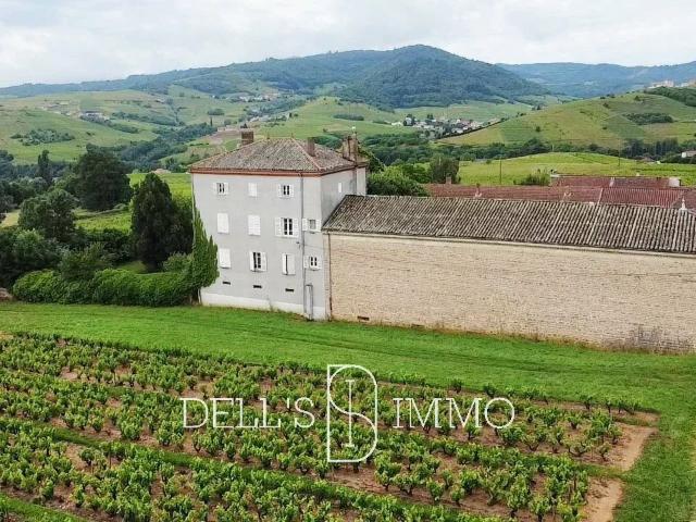 Maison 9 pièces 261 m²