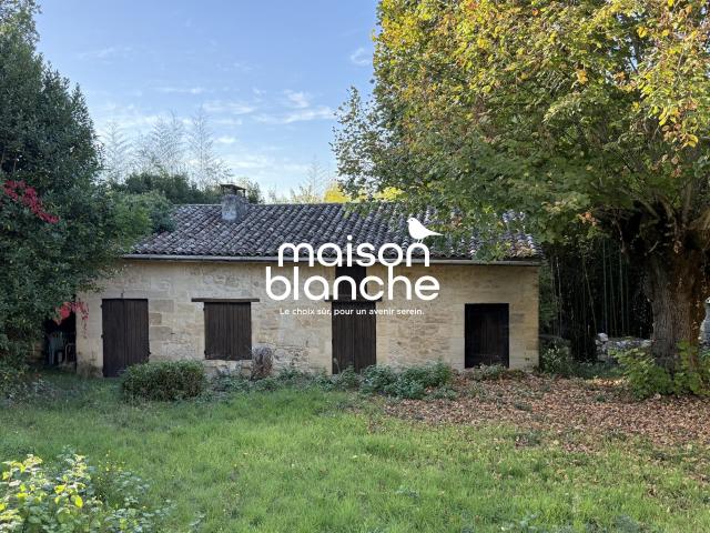 Maison 9 pièces 262 m²