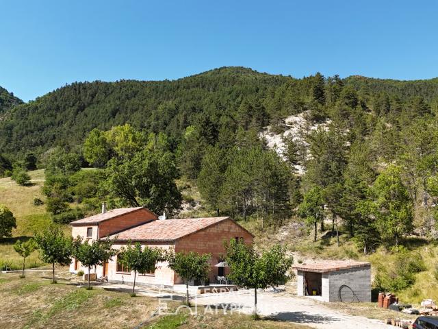 Maison 9 pièces 295 m²
