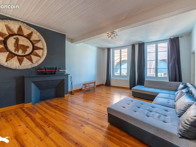Maison 9 pièces 310 m²
