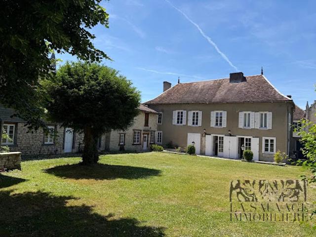 Maison contemporaine avec jardin