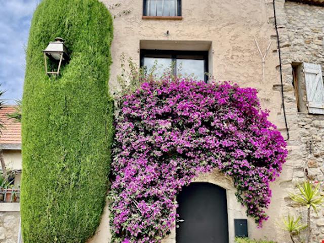 Maison contemporaine avec jardin et terrasse