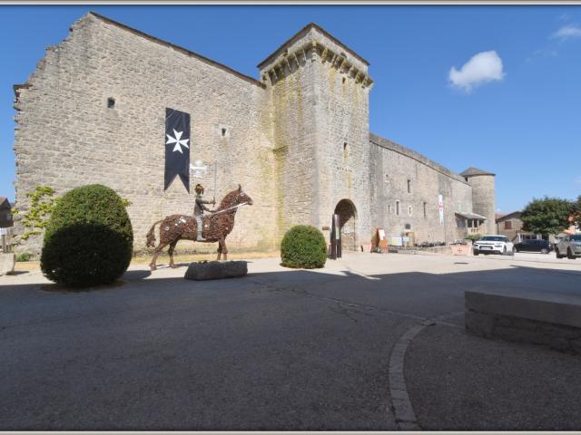 Maison Caussenarde remarquable à vendre 4 pièces LA CAVALERIE 12