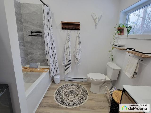 Maison à un étage et demi à vendre Lac Saguay 2 chambres #1106