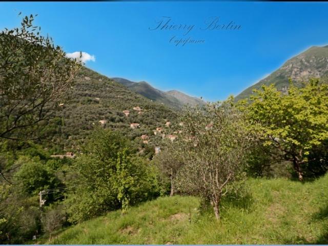 Maison à vendre 3 pièces BREIL SUR ROYA 06