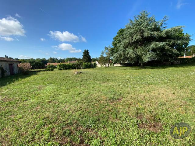 Maison 420M² sur parcelle d'environ 1 hectare