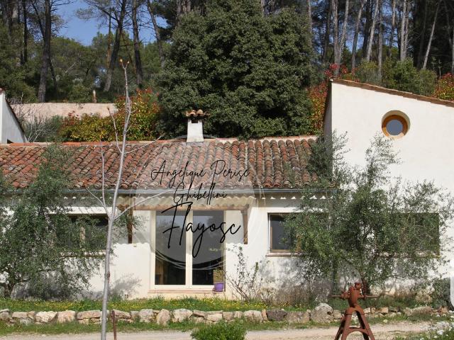 Vente Maison/villa 10 pièces