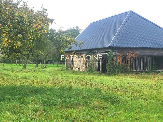 27 BEUZEVILLE GRANGE 160M² JARDIN 2.500m² PARIS 1H40