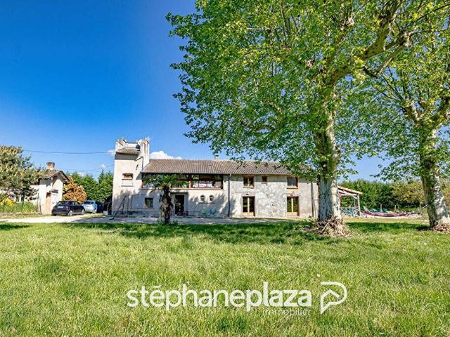 Ancienne ferme rénovée Montauban 8 pièce s 315 m2, dépendances