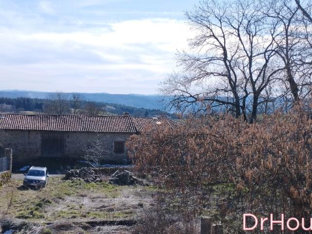 Corps de Ferme 250m² à Rénover Dépendances & Terrain 1900m²
