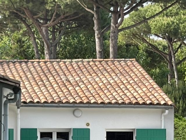 Maison familiale 5 chambres Proche plages ET village du Bois Plage en Ré