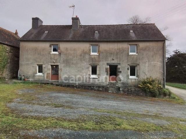 Maison à vendre corps de ferme +longère de 333 m2 au total a. 133m² Paule