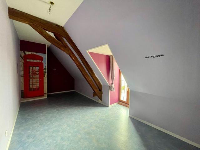Maison à vendre 6 pièces SANCOINS 18