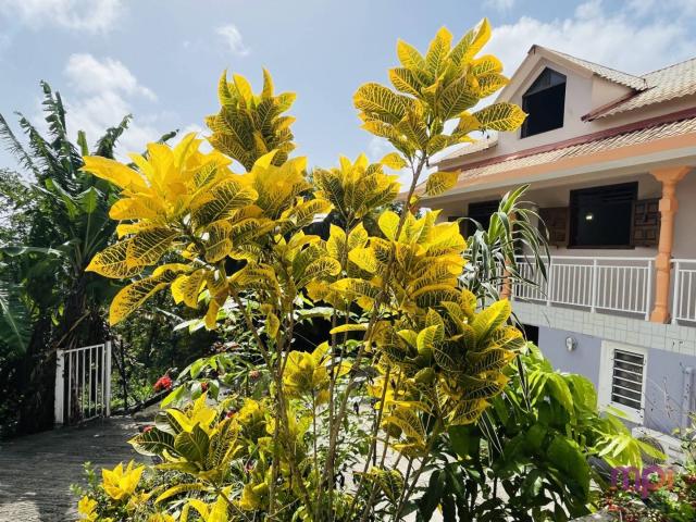 Ensemble Immobilier SAINTE LUCE