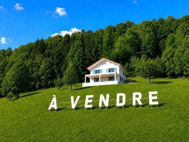 Maison à vendre à Aiguebelette le Lac 73610