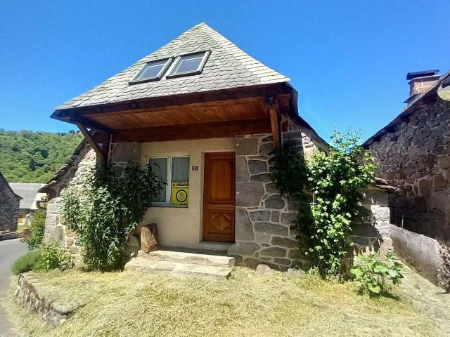 Maison à vendre à Albepierre Bredons 15300