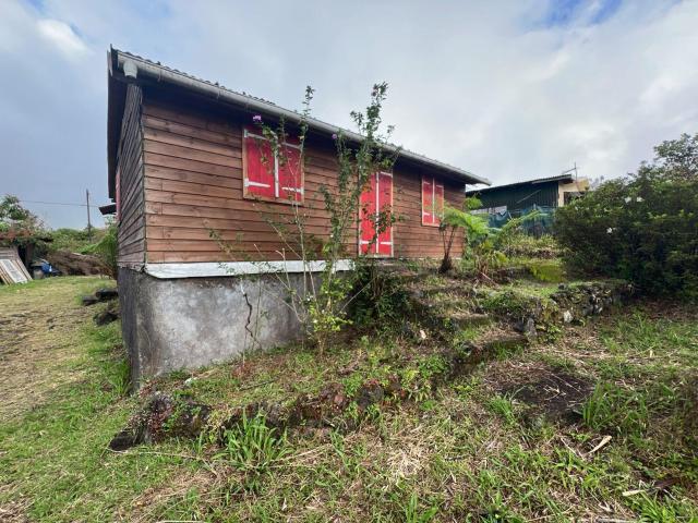 Maison à vendre à La Plaine des Palmistes 97431