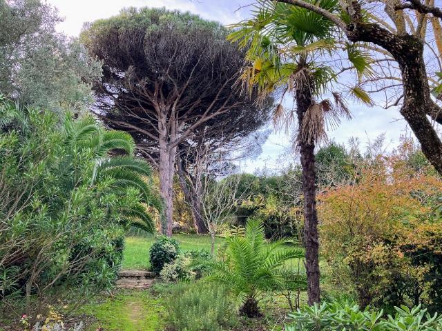 Maison à vendre à Saint Tropez 83990