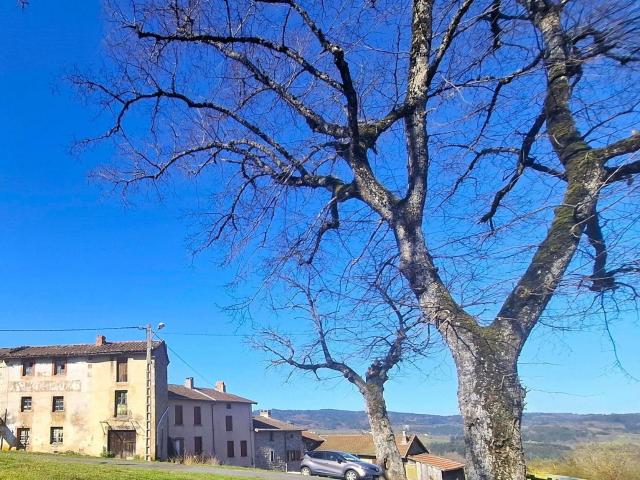 Maison à vendre à Saint Amant Roche Savine 63890