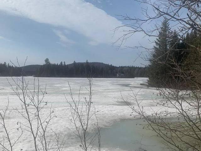 Maison à vendre à SainteAgathedesMonts Laurentides 3938 Chemin Paiement 21968484