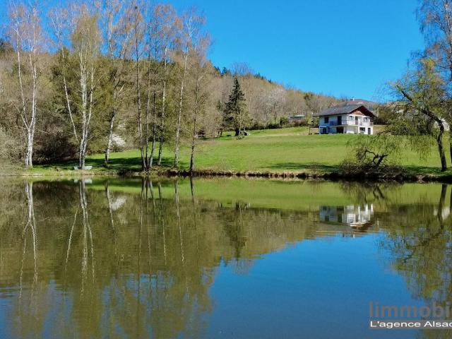 Maison à vendre avec étang