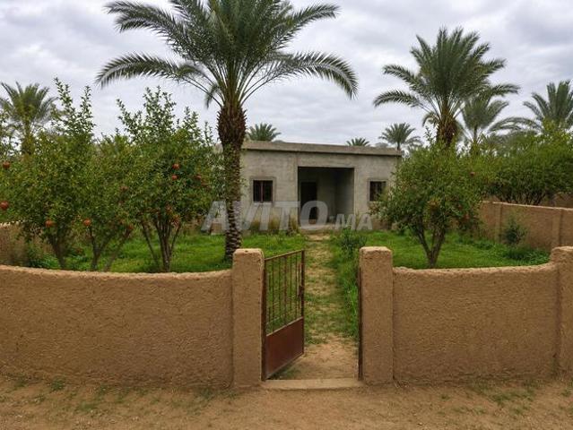 Maison à vendre Ouarzazate