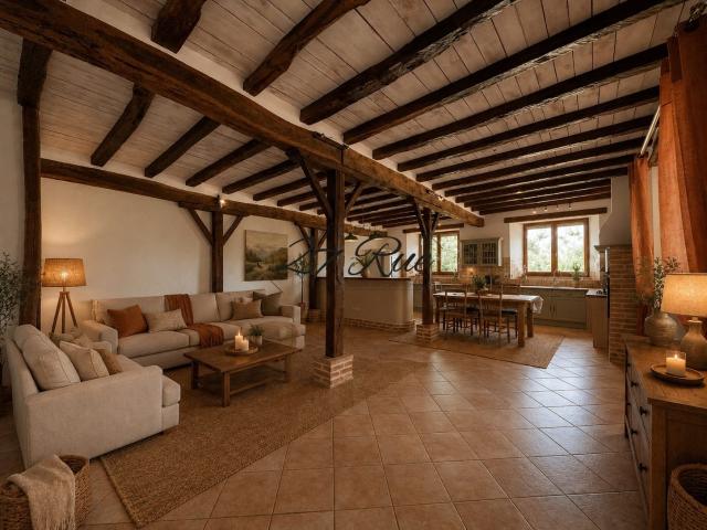 Maison à vendre L'Isle en Dodon 295m² L'Isle en Dodon