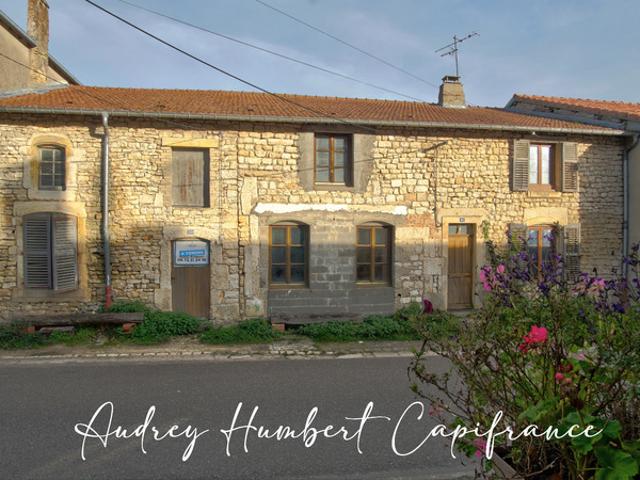 Maison à vendre SAINT MAURICE SOUS LES COTES 55 Grande maison potentiel dépendances jardin