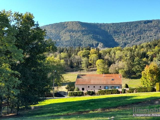 Maison à vendre Sainte Marie aux Mines