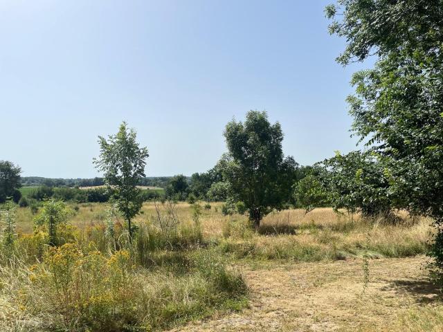 Maison à la campagne. 122m² Beaumontois en périgord