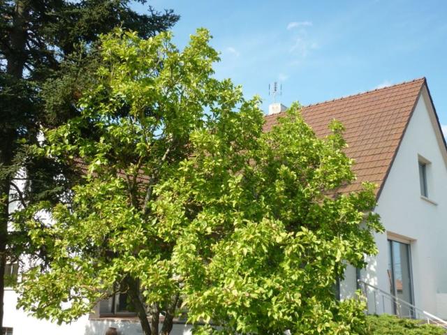 Maison à louer 7 pièces 160 m