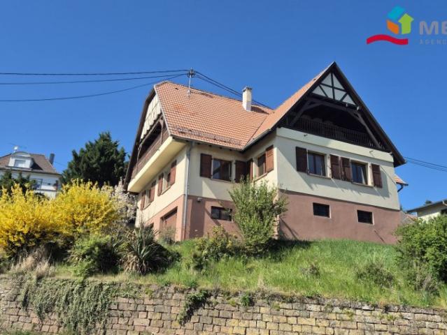 house for rent in Obernai