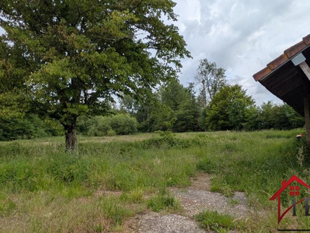 maison à rénover avec 13 000m2 terrain