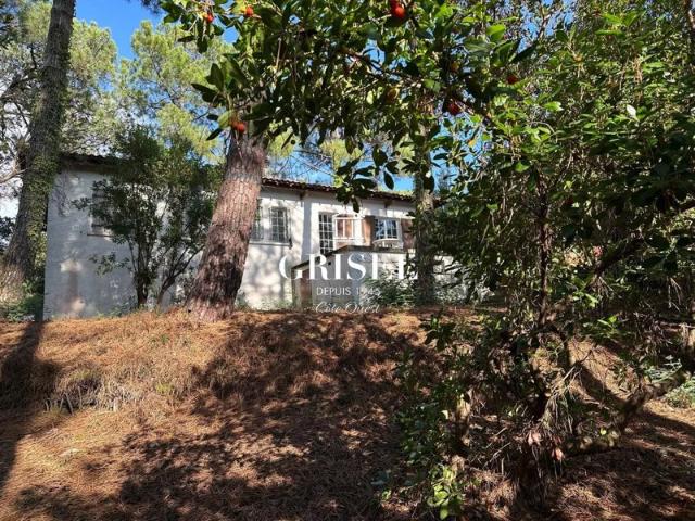 Maison à rénover dans un écrin de verdure