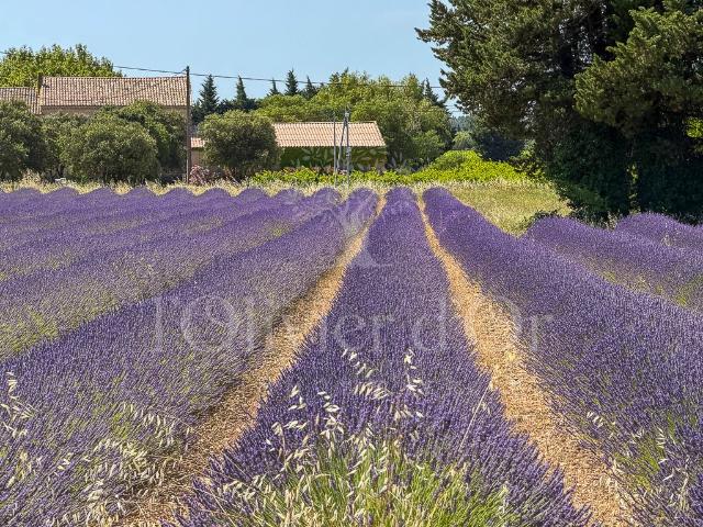 Maison à rénover en campagne 141m² Visan
