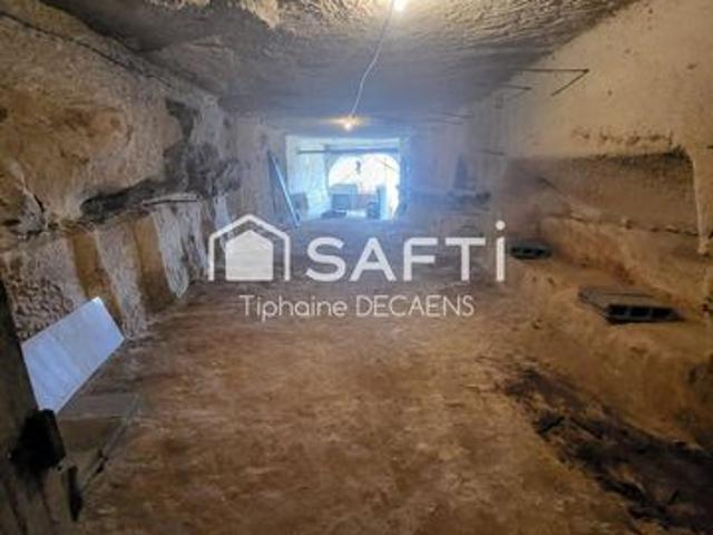 Maison ancienne avec 2 depandances + etage independant, 2 tres grande cave dont 1 de plus de 75 m de long environ 550m2