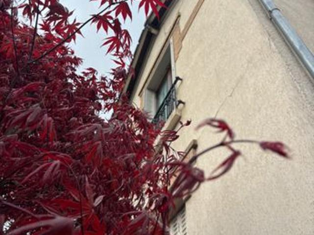 Maison ancienne individuelle & jardin