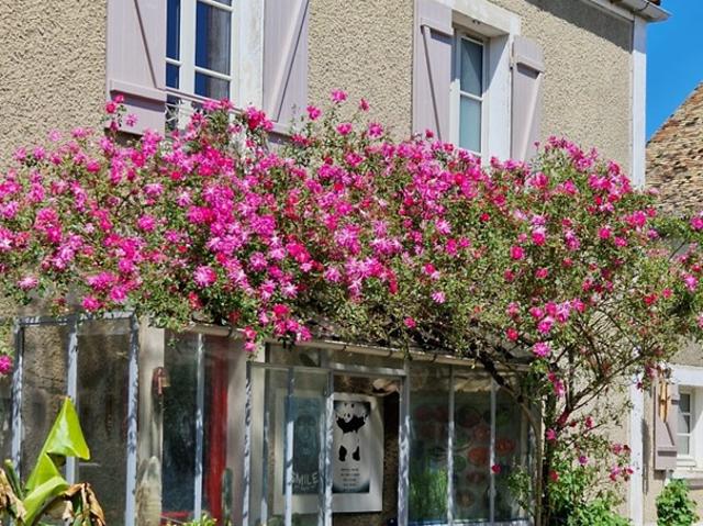 MAISON ANCIENNE. VOLUMES AGREABLES