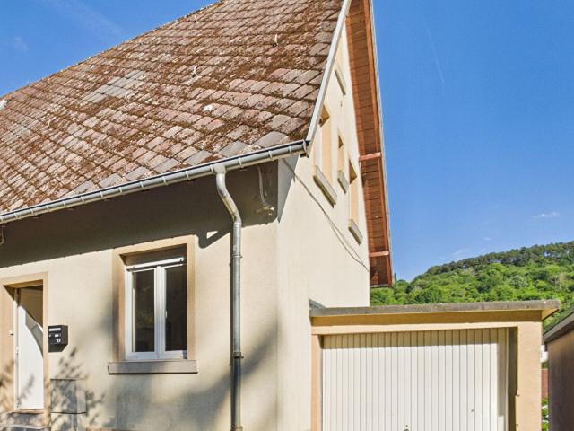 Maison Algrange jardin Terrasse