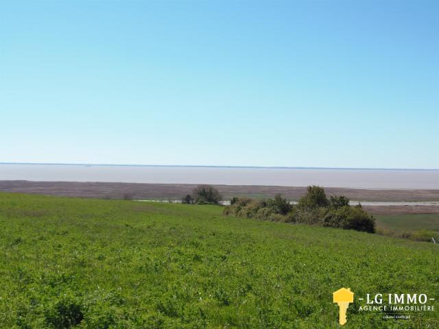 Maison atypique avec vue imprenable sur l'estuaire de la Gir. 161m² Chenac Saint Seurin d'Uzet