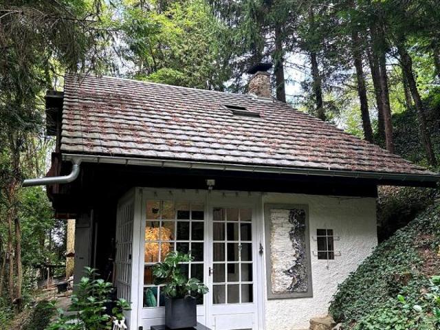 Maison au coeur de la forêt
