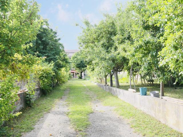 MAISON AU COEUR DU VILLAGE