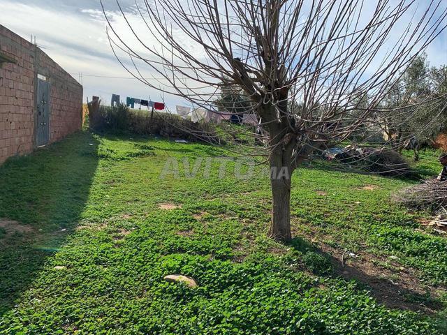 Maison avec terrain de 2400 m² à vendre près de Khémisset