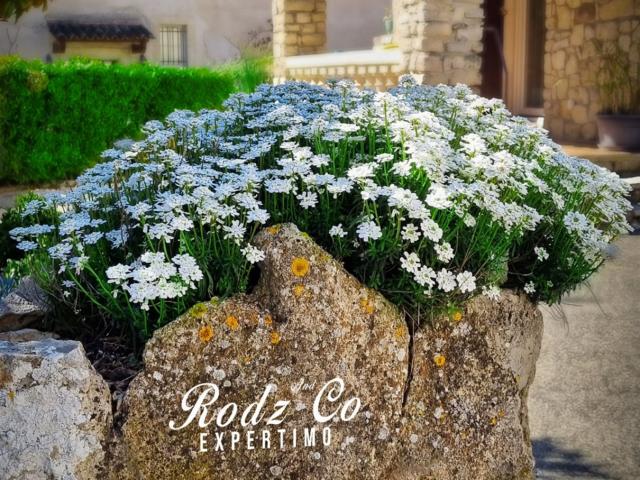 Maison avec appartement indépendant et jardin idéal résidenc. 185m² Saint Martin de Castillon
