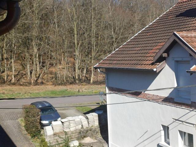 Maison avec garage et jardin pour le prix d'un apartement!
