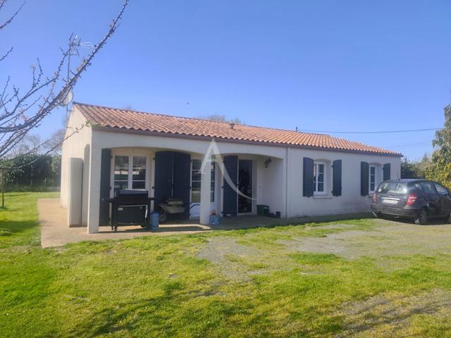 Maison avec grand terrain