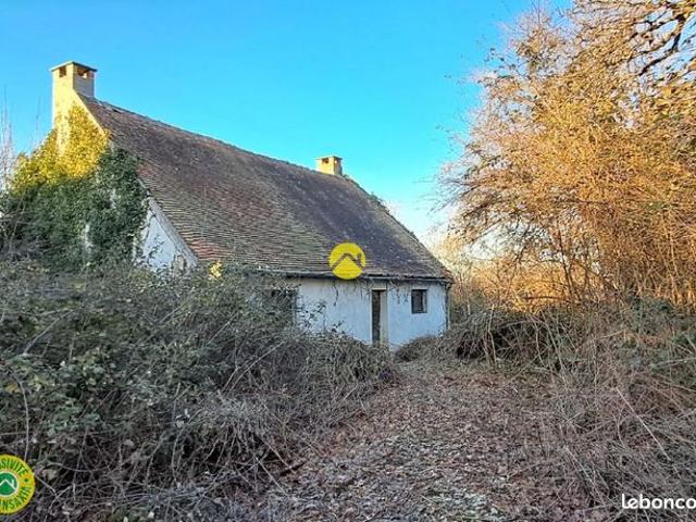 Maison avec grand jardin